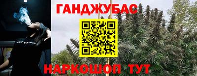шишки Свободный