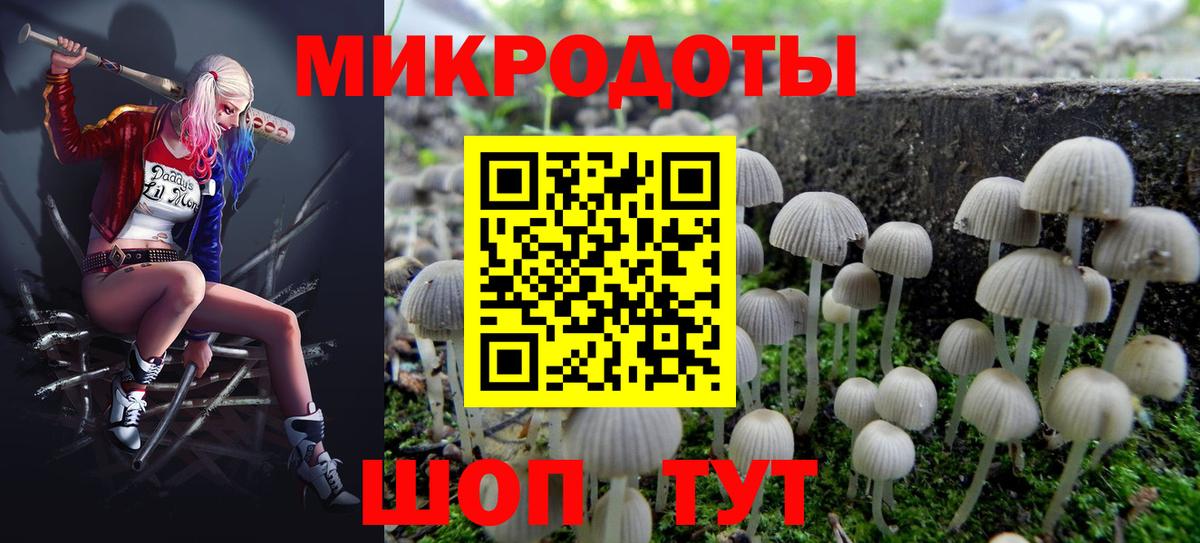 Псилоцибиновые грибы мицелий Наро-Фоминск